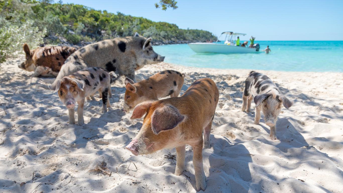 Flights to Îles Exumas