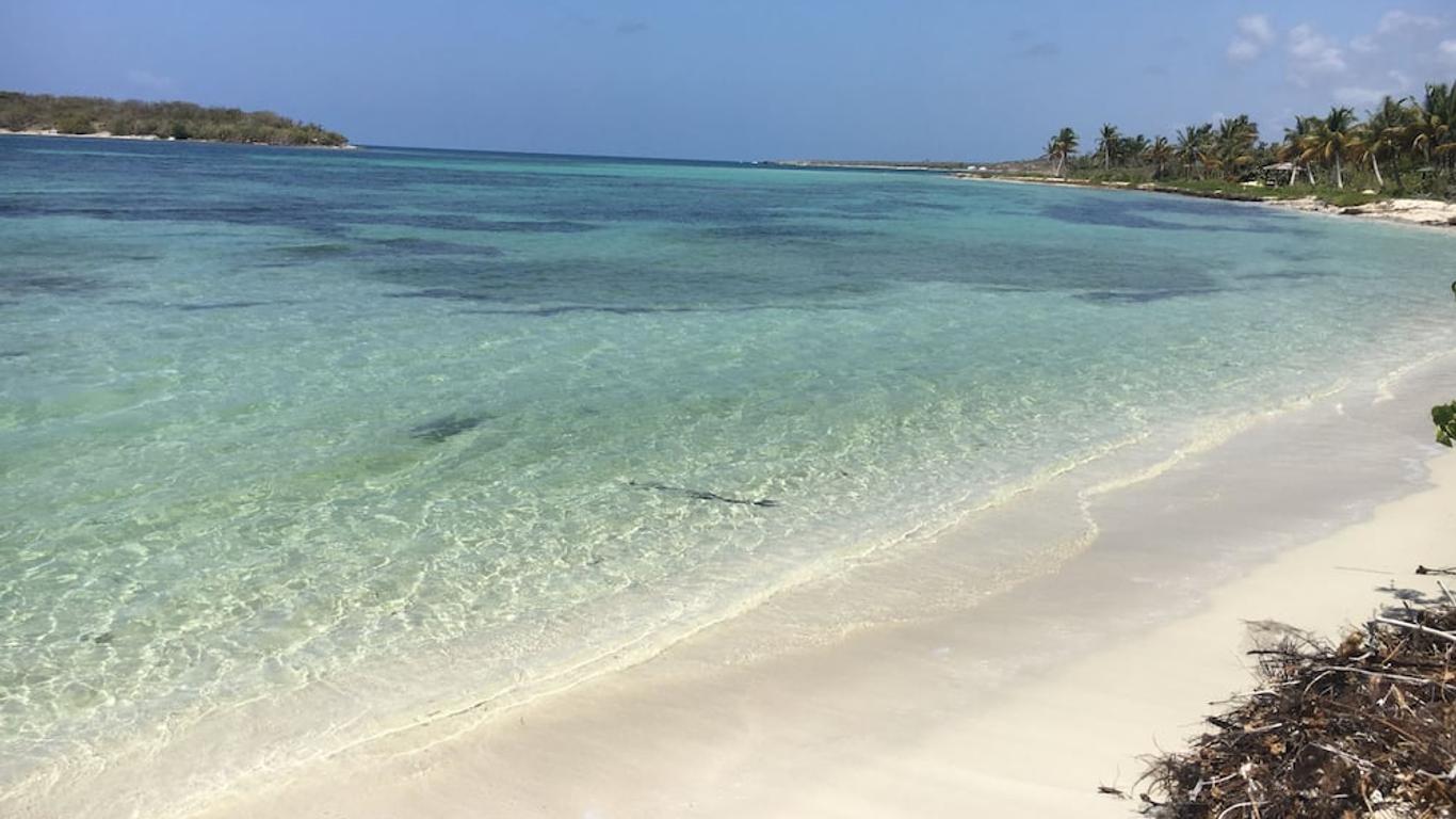 Photo principale