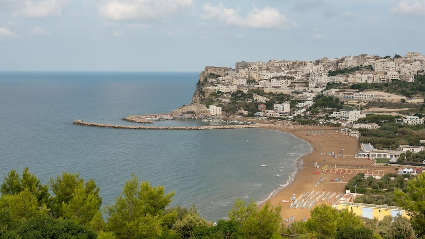 Photo principale