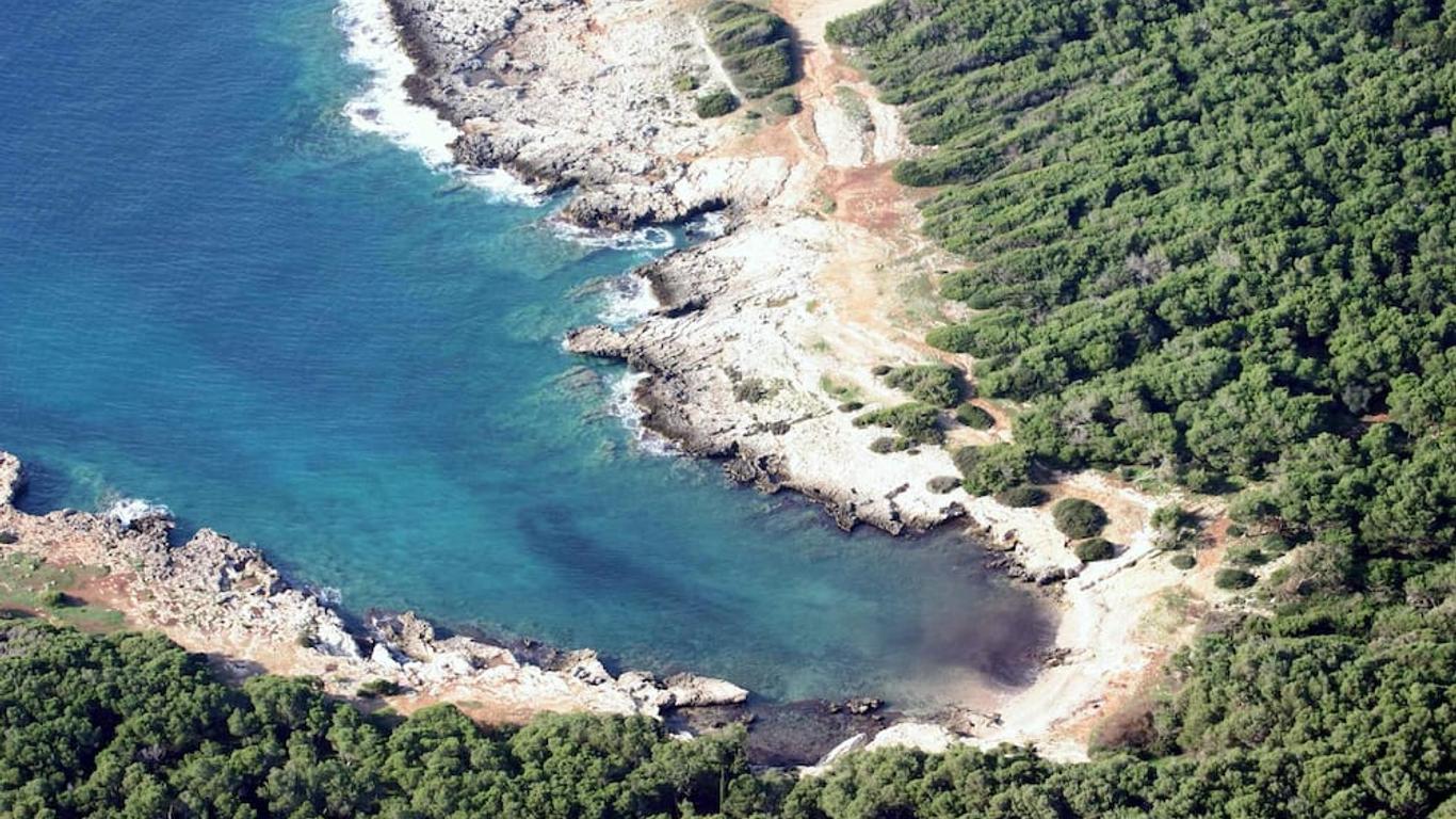 Photo principale